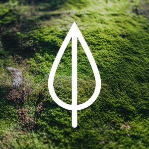 Verantwortung in allen Bereichen