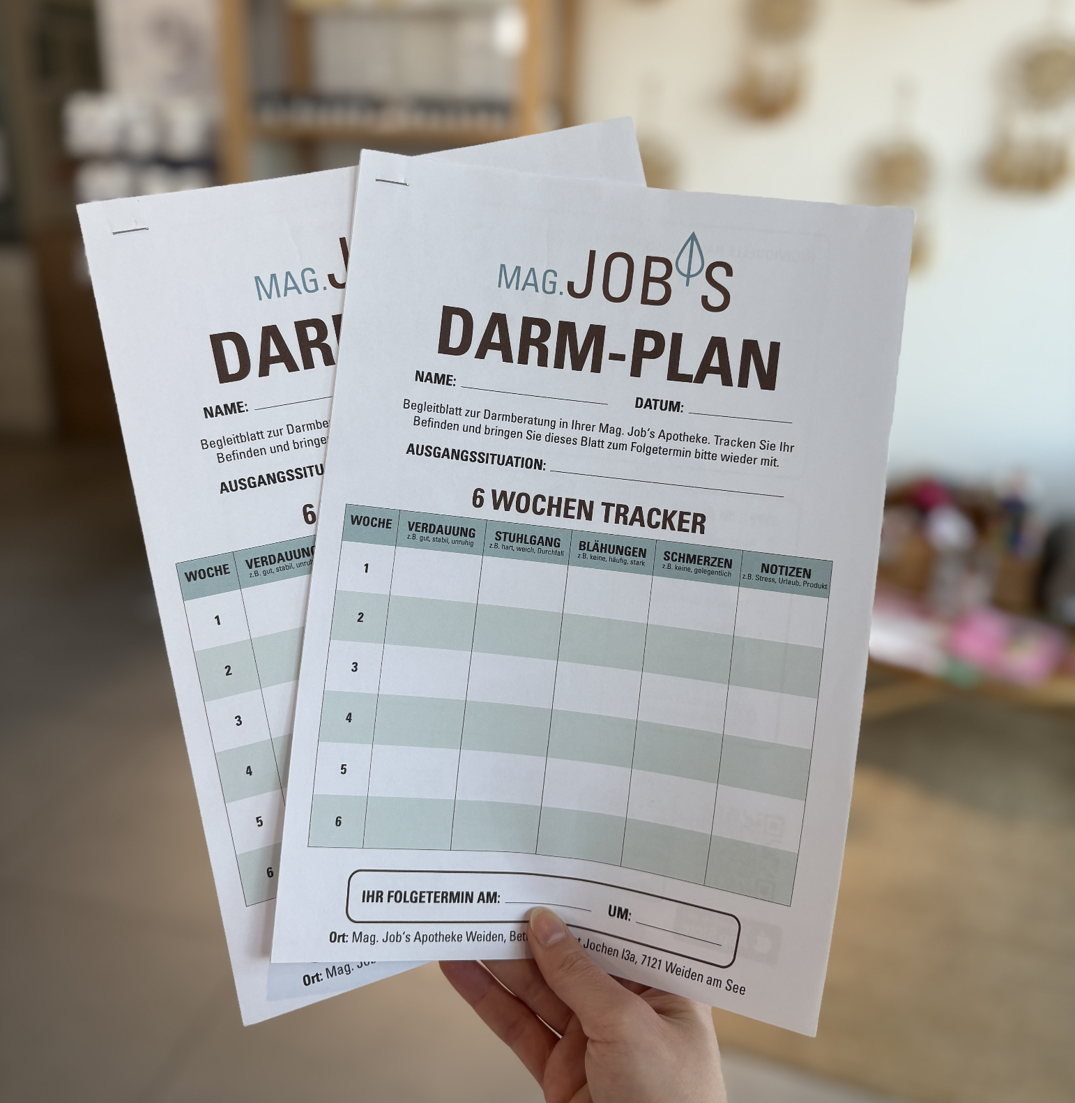 Darm Plan